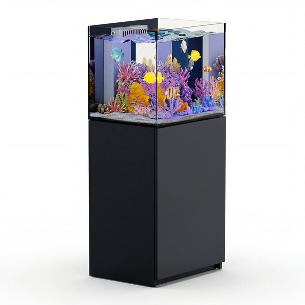 37 gallon aquarium