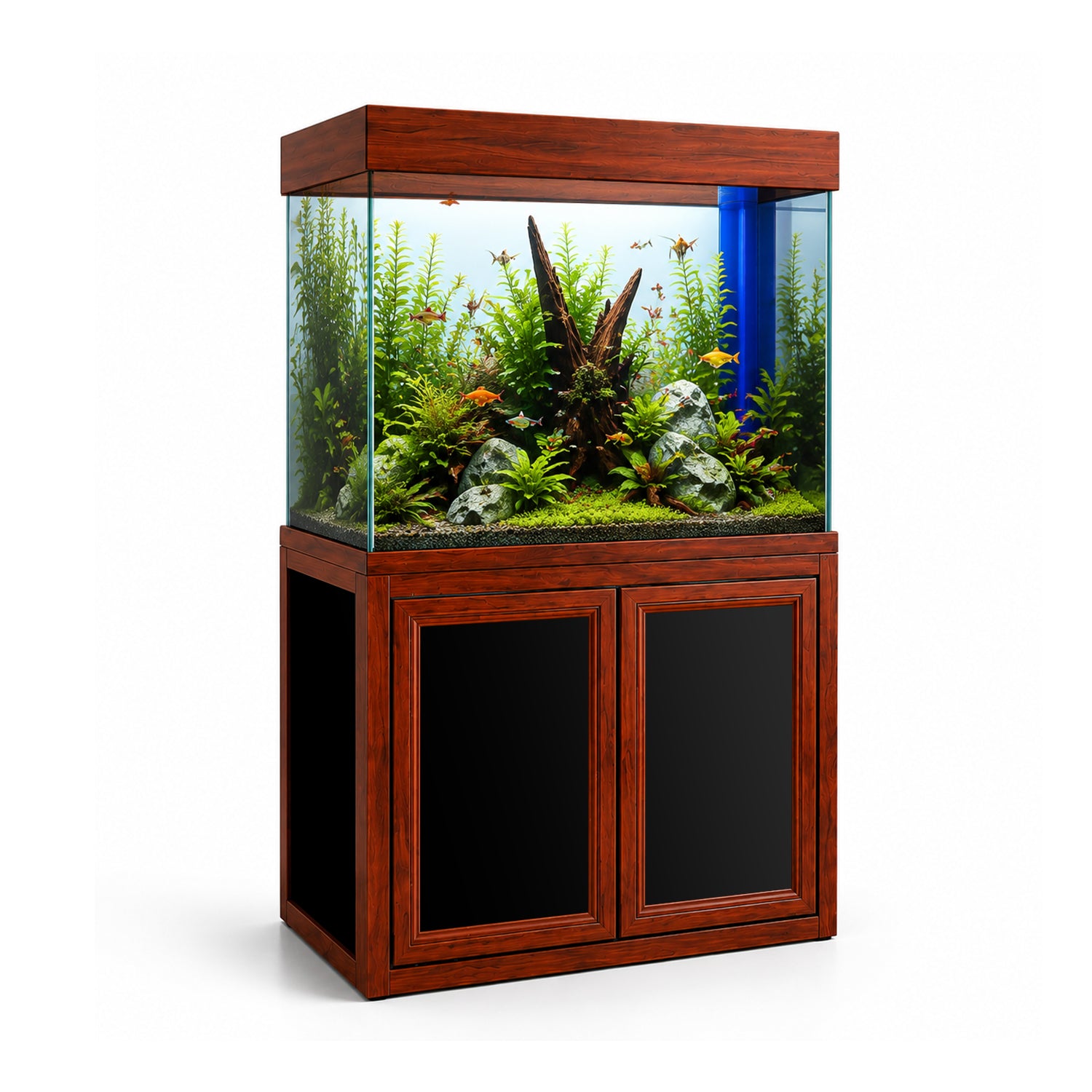 50 gallon fish tank accessories Midwest Tropical Shadow Box AquaCustom Aquarium pound weight capacity Aqua Dream 50 Gallon Tank