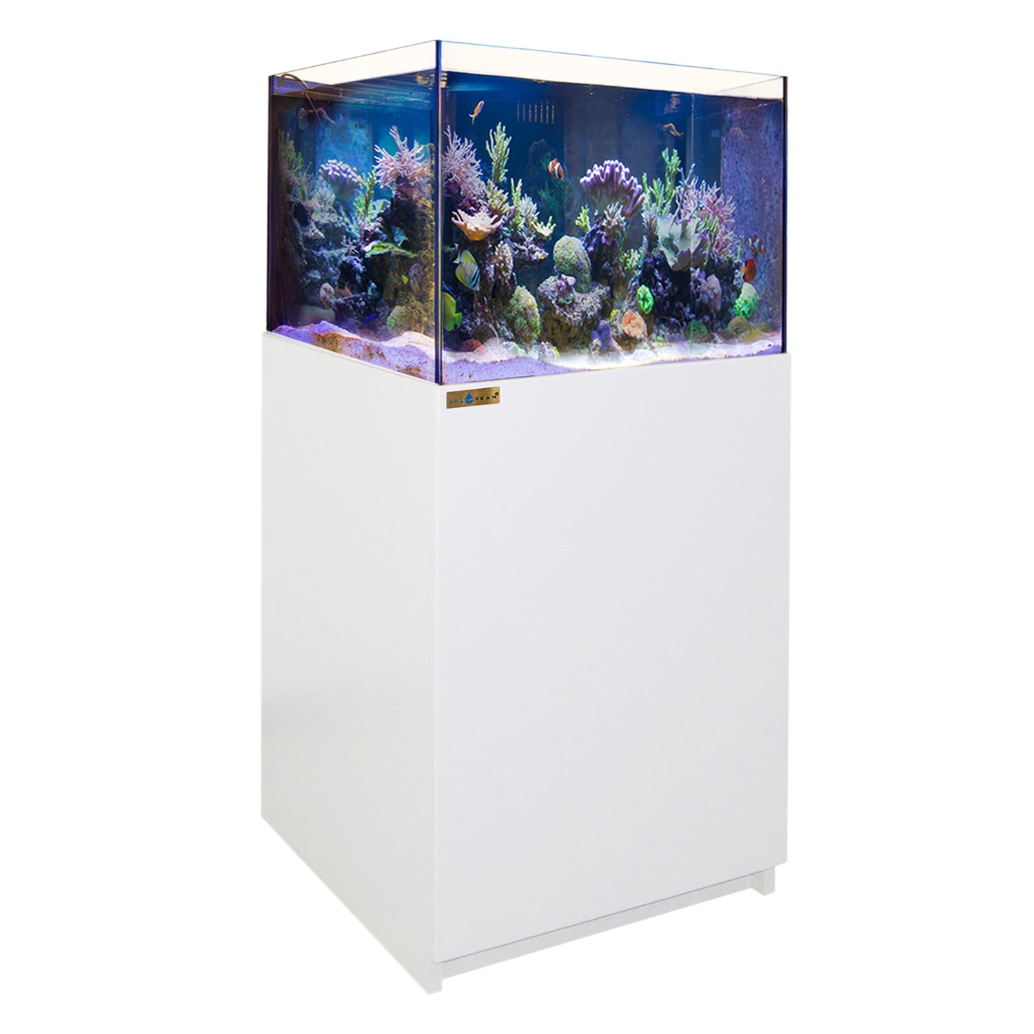 90 Gallon Coral Reef Aquarium Ultra Clear Glass Tank & Built in Sump All White