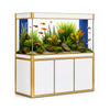 Aqua Dream 135 Gallon Tempered Glass Aquarium White and Gold