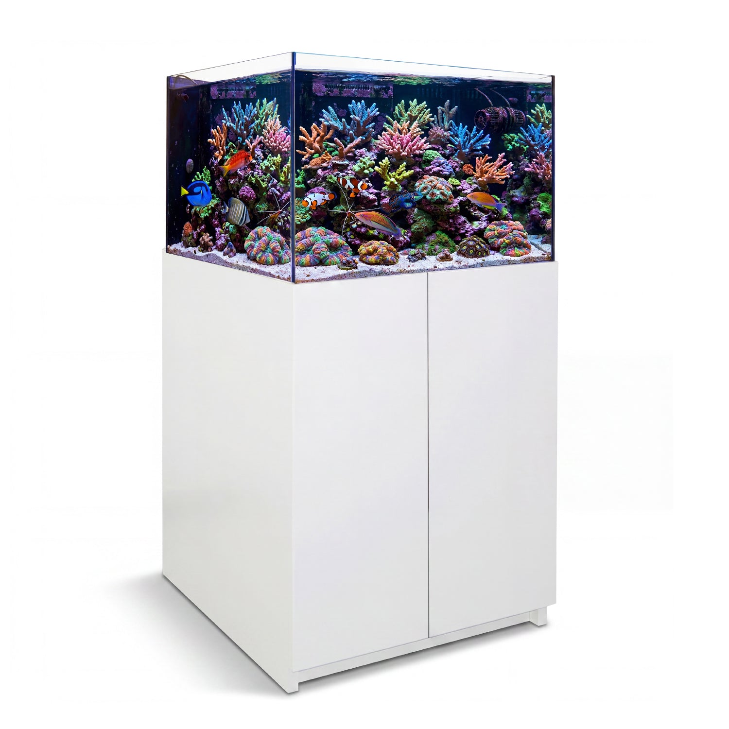 115 gallon aquarium with stand and sump