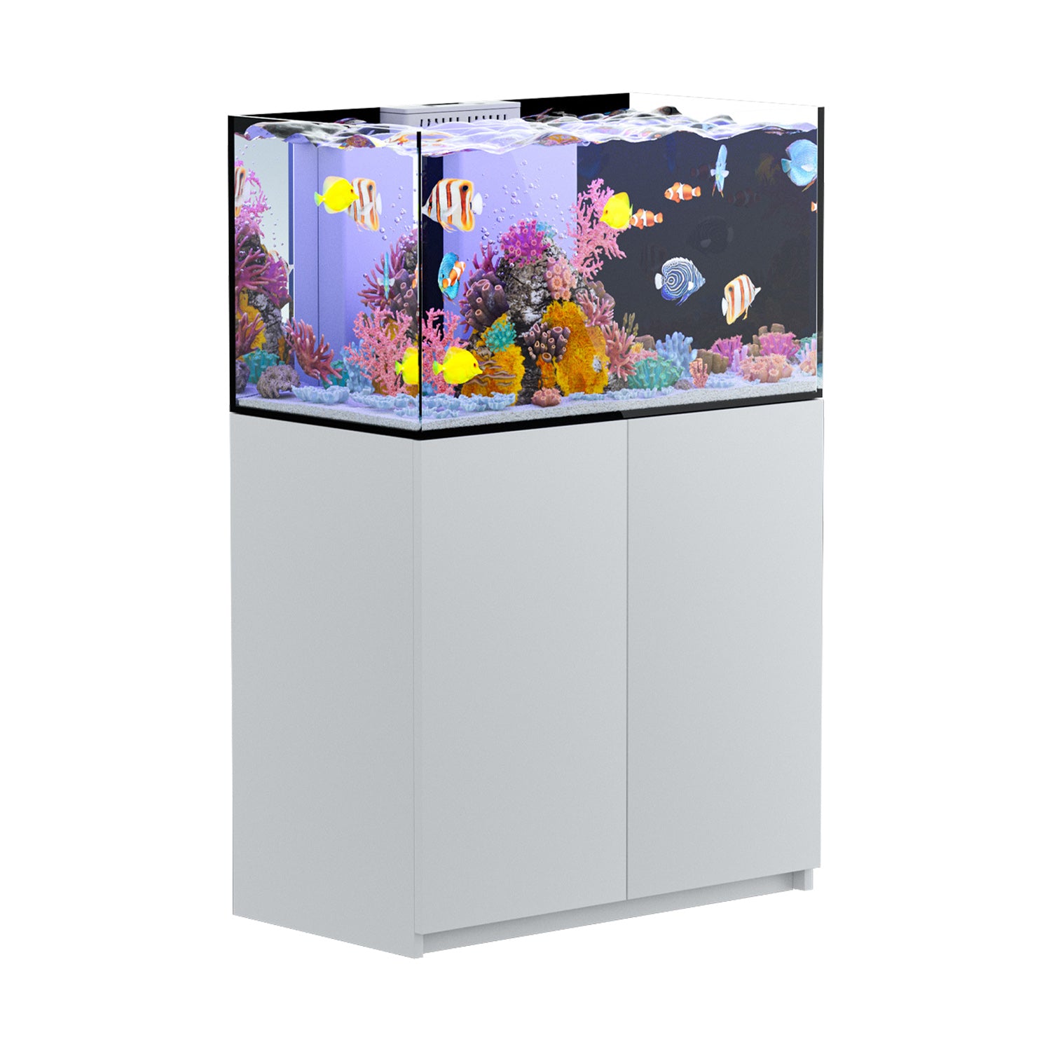 100 gallon aquarium with stand and sump