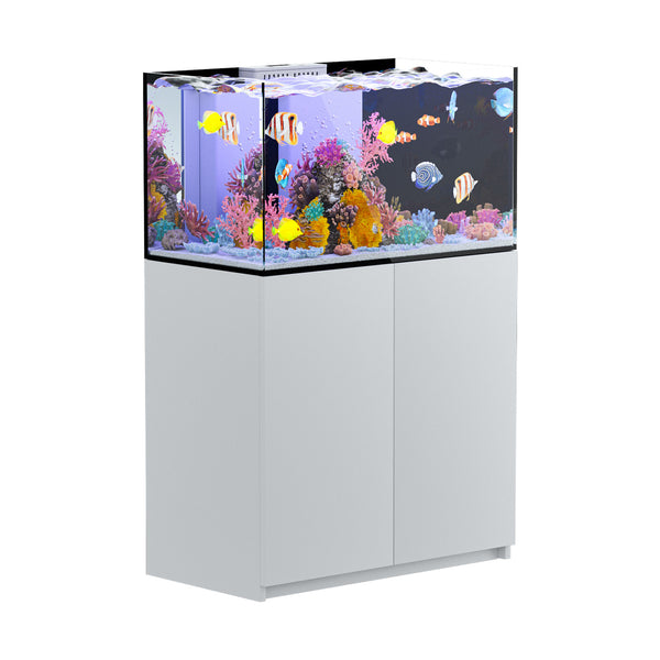 100 gallon aquarium with stand and sump