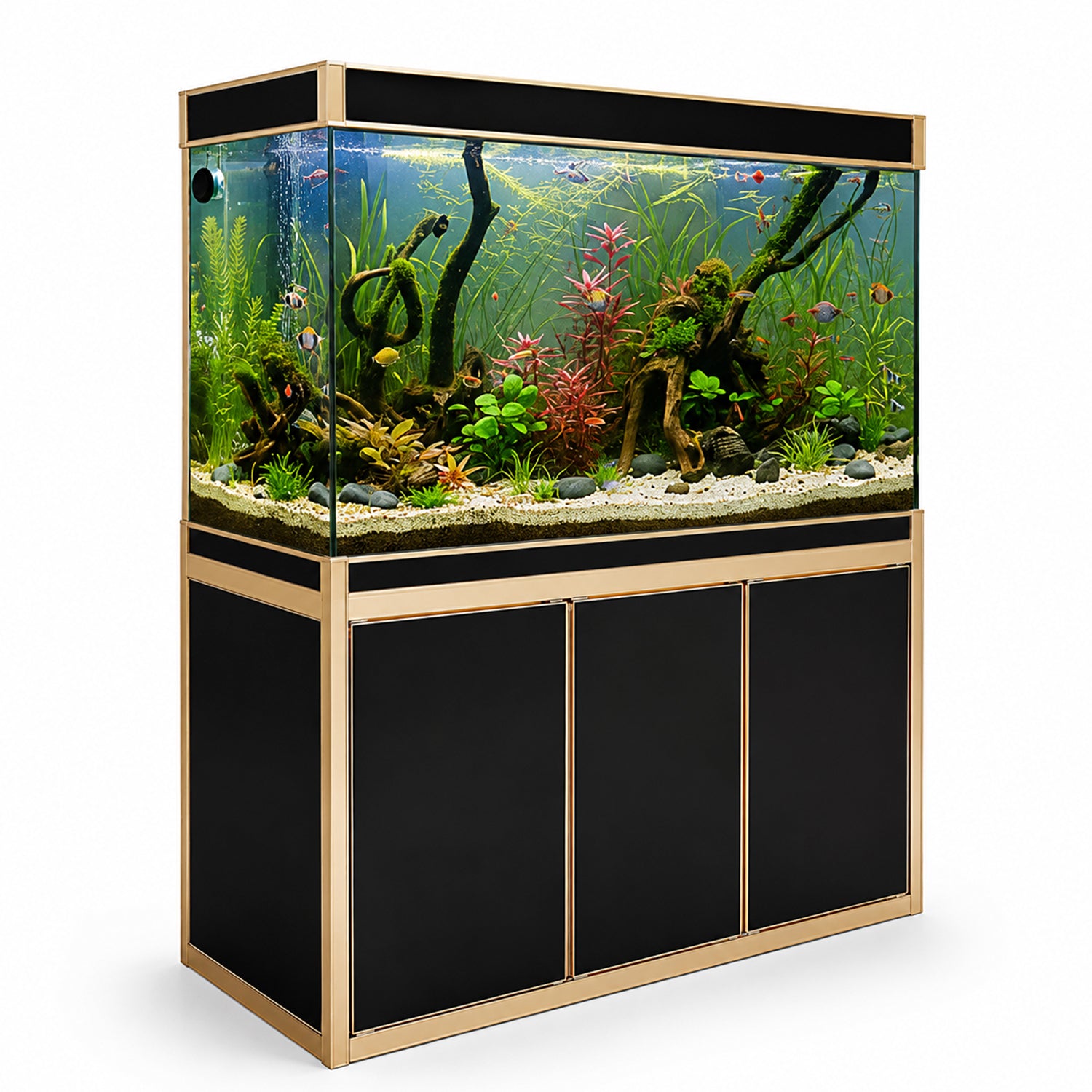 Aqua Dream 135 Gallon Tempered Glass Aquarium Black With Gold