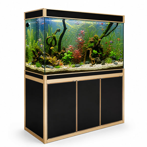Aqua Dream 135 Gallon Tempered Glass Aquarium Black With Gold