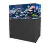 130 Gallon Aquarium