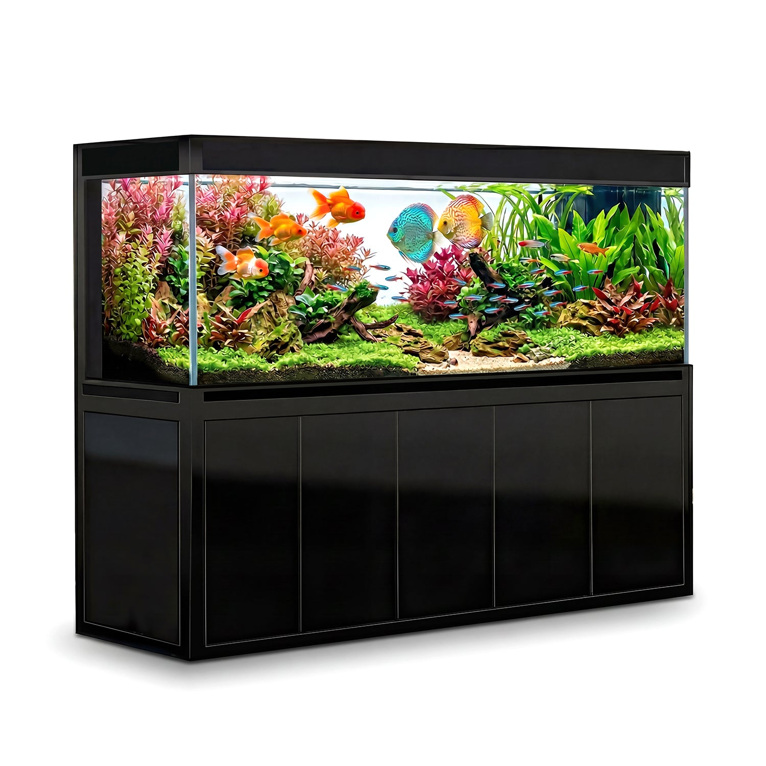 400 gallon aquarium with stand and sump