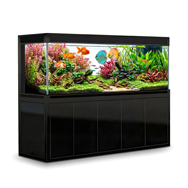 400 gallon aquarium with stand and sump