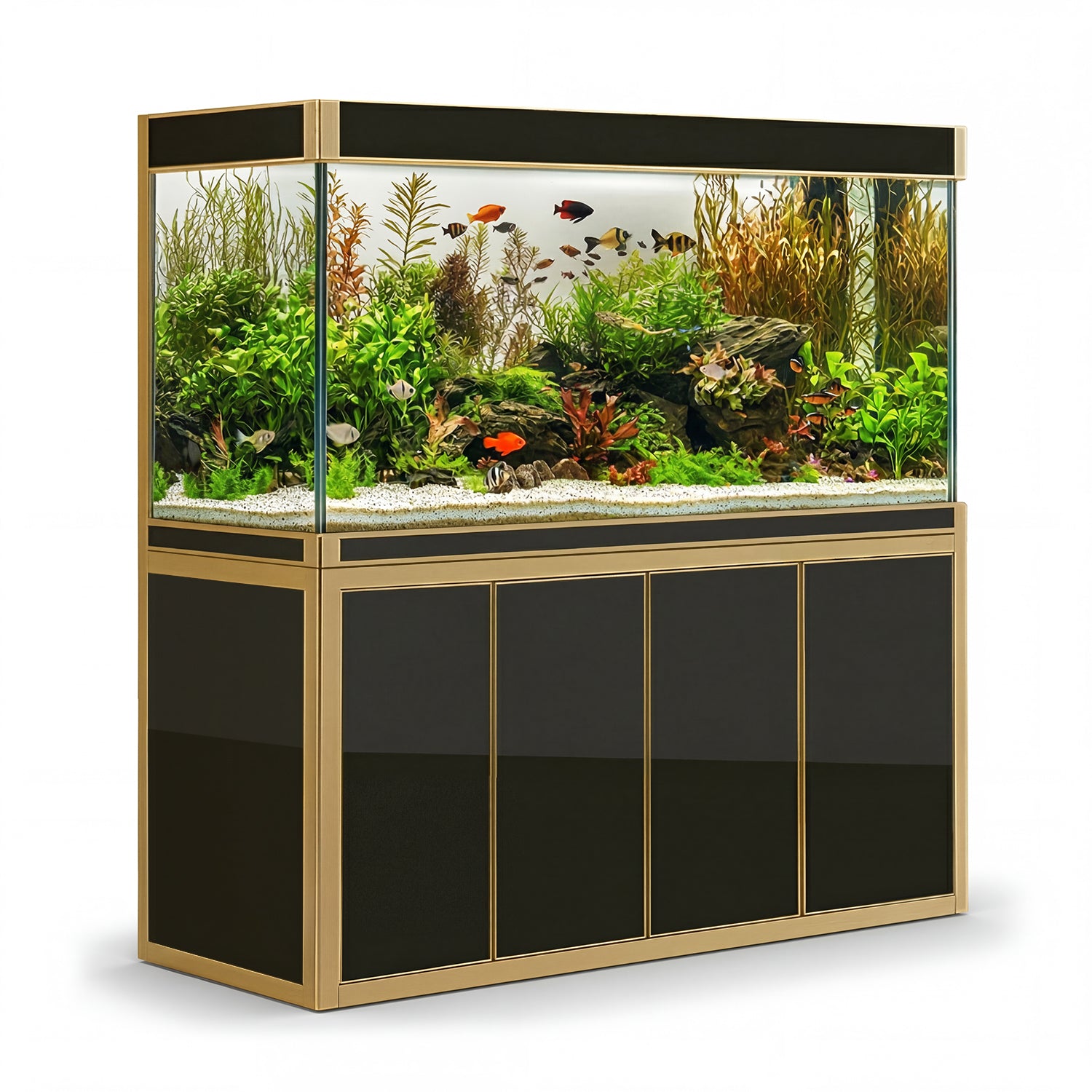 250 gallon aquarium with stand sump and LED black gold