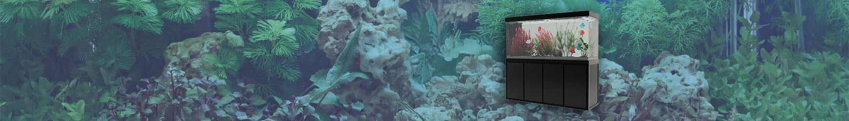 custom-slideshow-image-desktop-block_UUpdtW