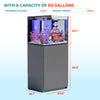 silver rimless aquarium