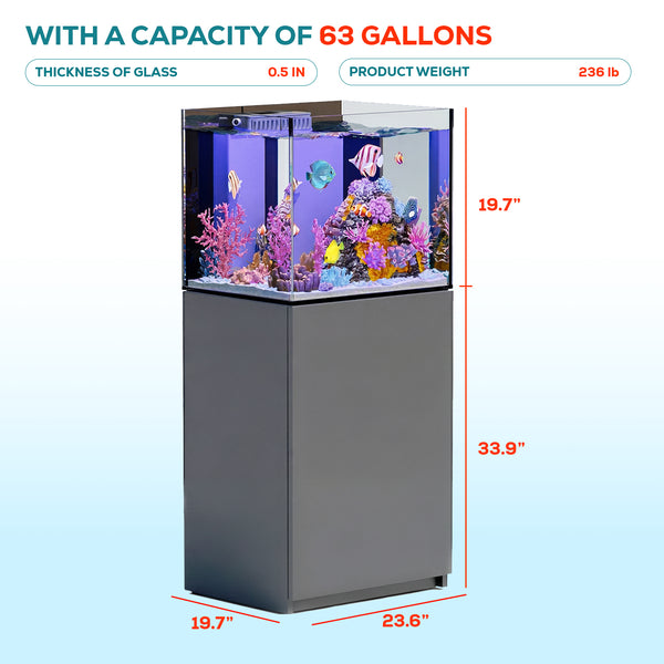 silver rimless aquarium