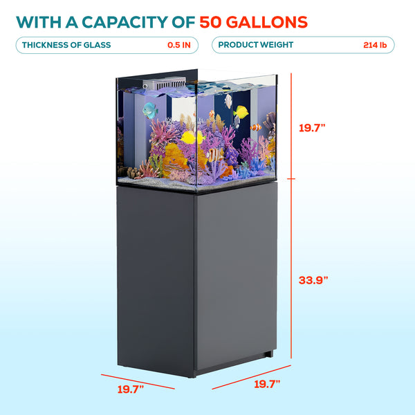 silver rimless aquarium