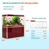 175 gallon aquarium with stand sump and LED red gold