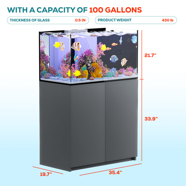 100 gallon aquarium with stand and sum