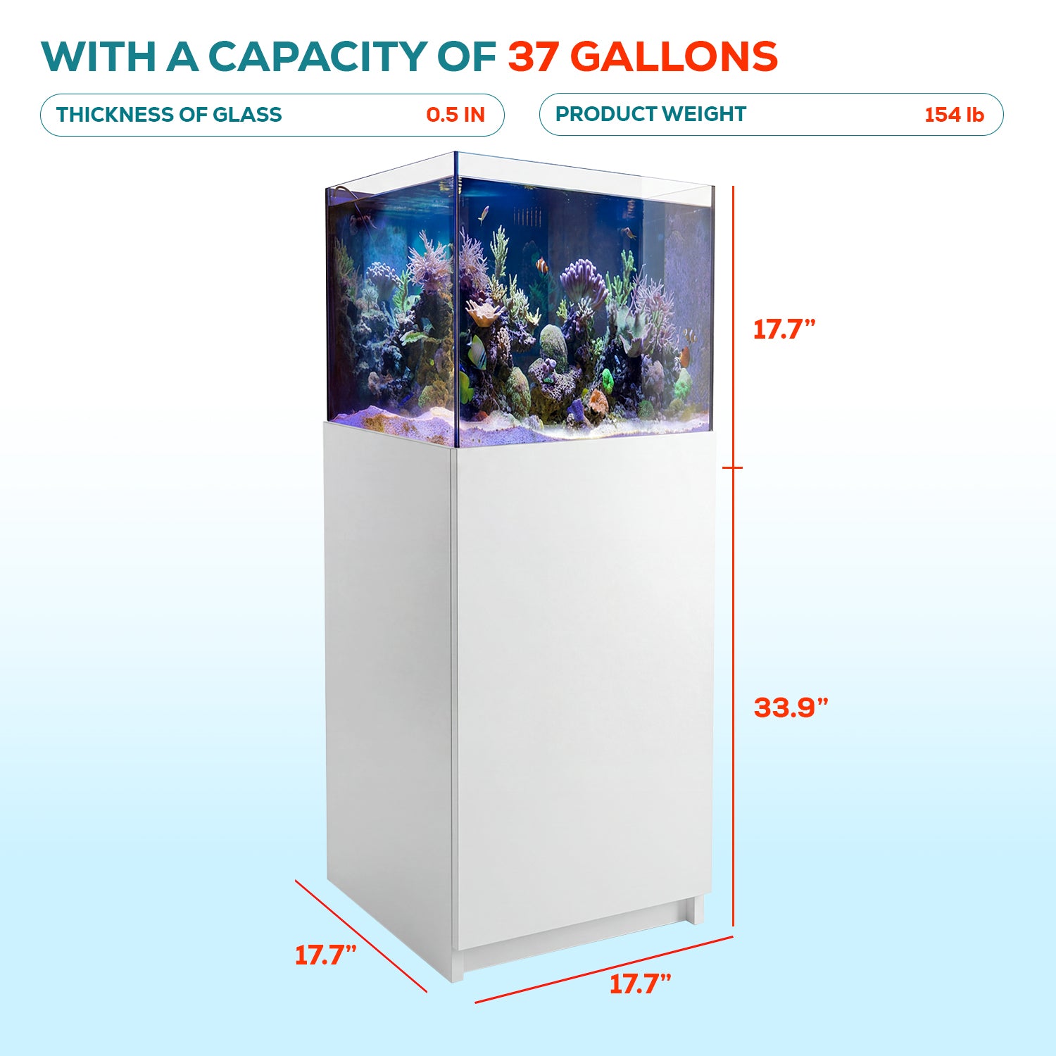 37 gallon aquarium
