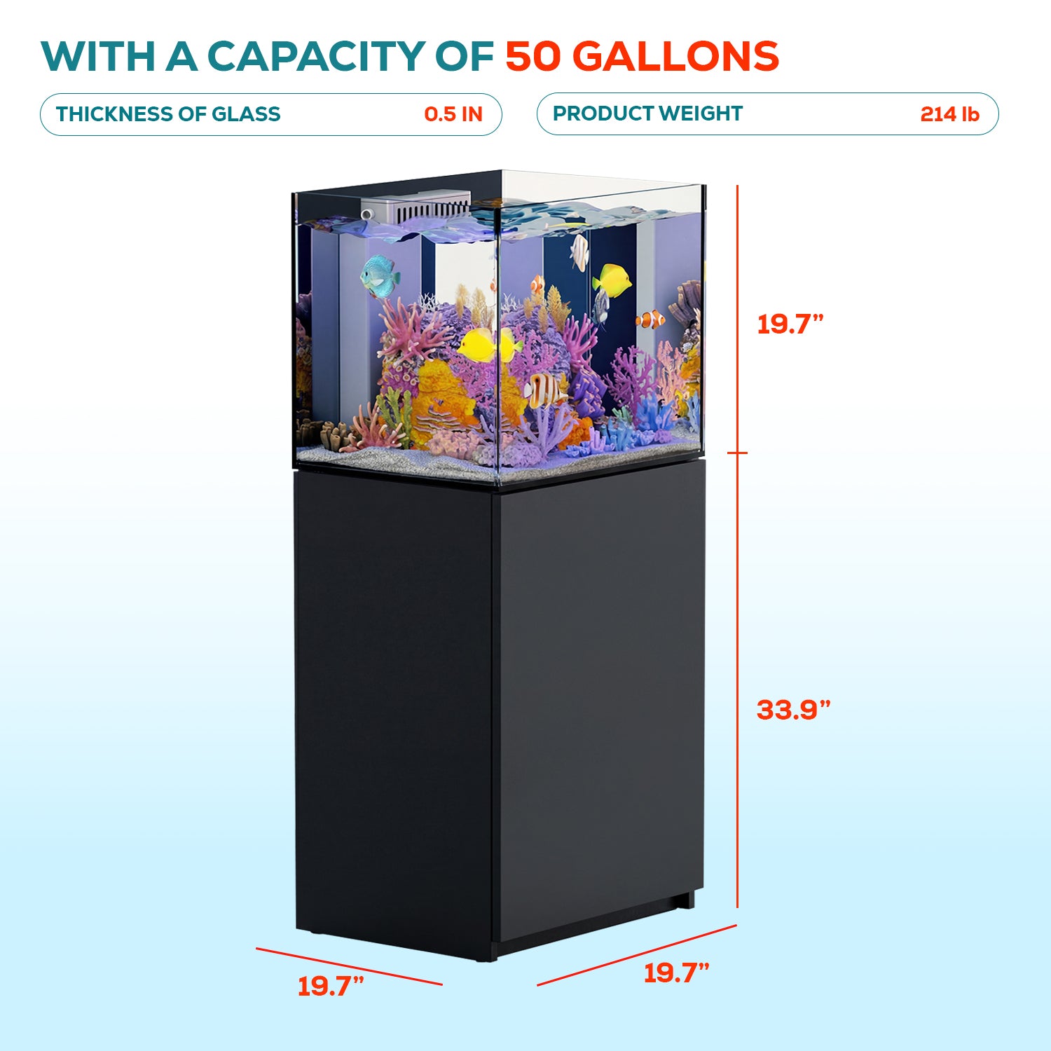 50 gallon aquarium