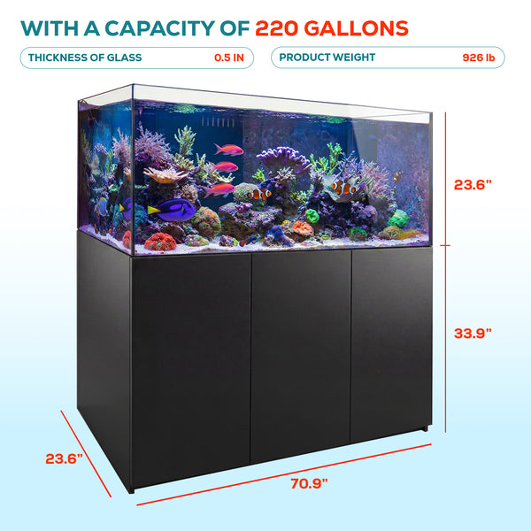 220 gallon aquarium with stand and sump