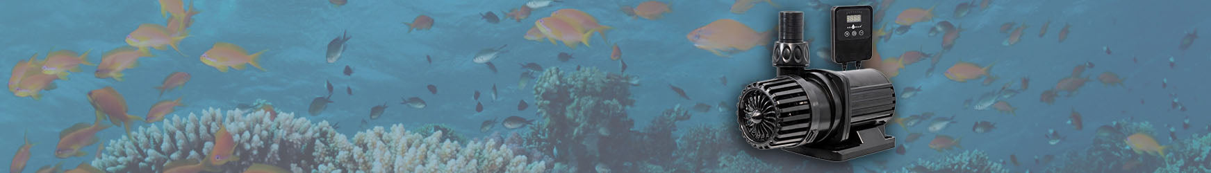 custom-slideshow-image-desktop-block_NkcGMh