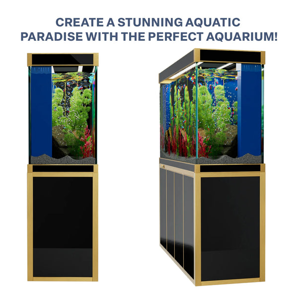 Acuario de vidrio templado Aqua Dream de 250 galones, color negro y dorado