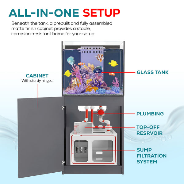 silver rimless aquarium