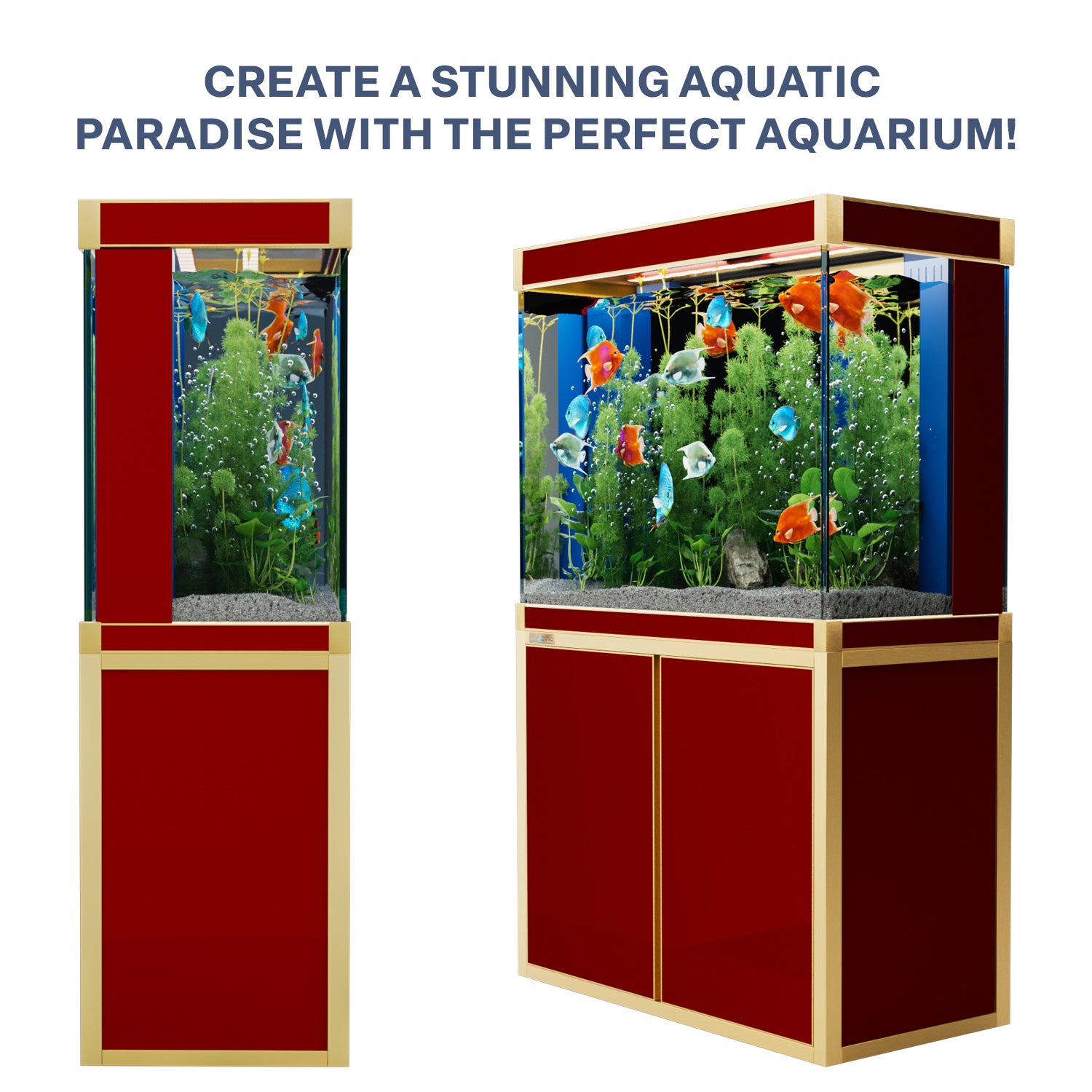 Aqua Dream 100 Gallon Tempered Glass Aquarium Red and Gold
