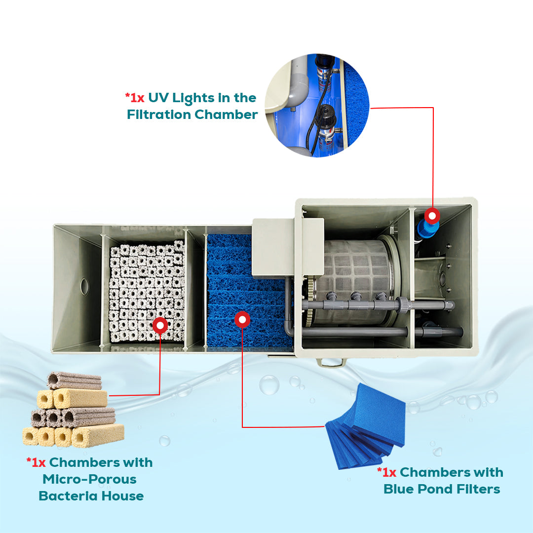 small koi pond filter system
