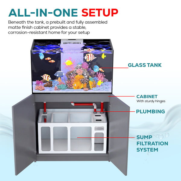 100 gallon aquarium with stand and sum