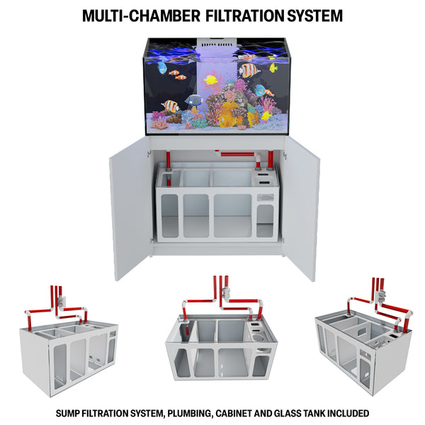 100 Gallon Reef Aquarium: Ultra Clear Glass with Sump