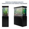 Aqua Dream 175 Gallon Tempered Glass Aquarium Black