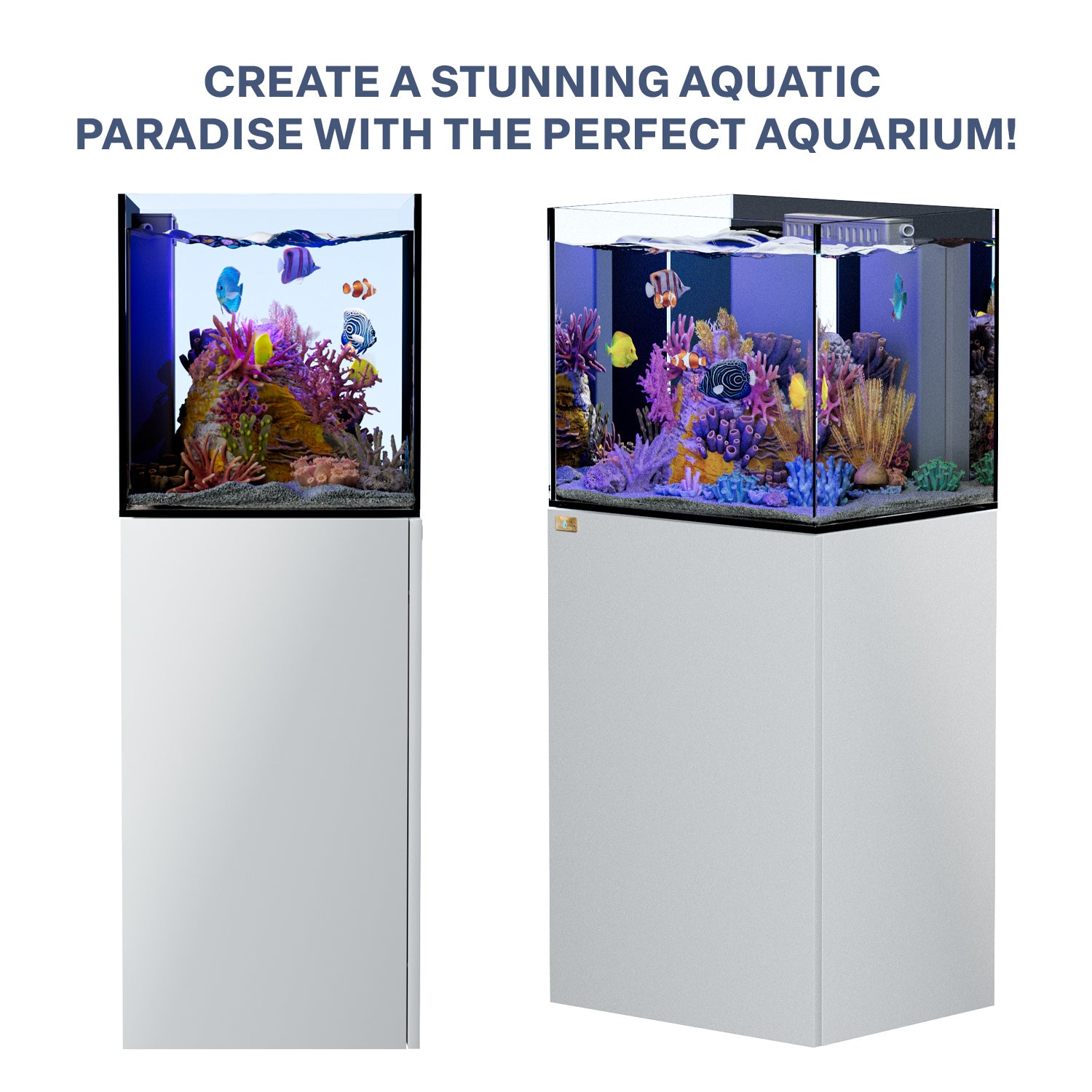 37 Gallon Coral Reef Aquarium Ultra Clear Glass Tank & Built in Sump All White
