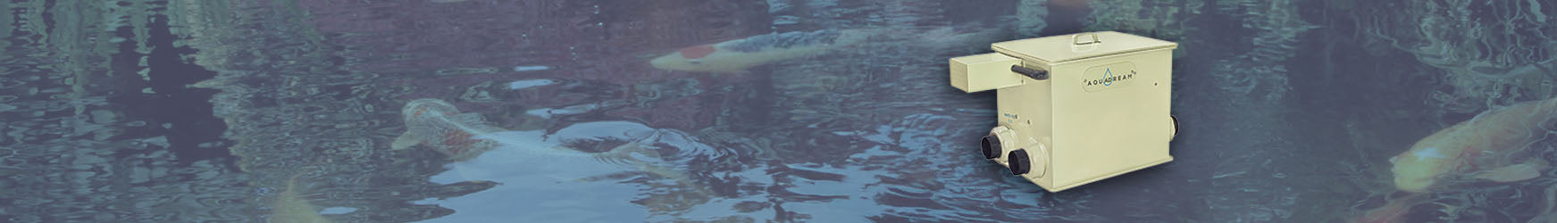 custom-slideshow-image-desktop-block_XF9kgm