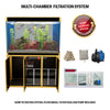 Aqua Dream 175 Gallon Tempered Glass Aquarium Black and Gold