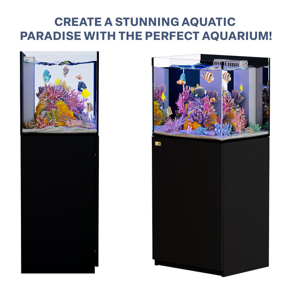 37 gallon aquarium