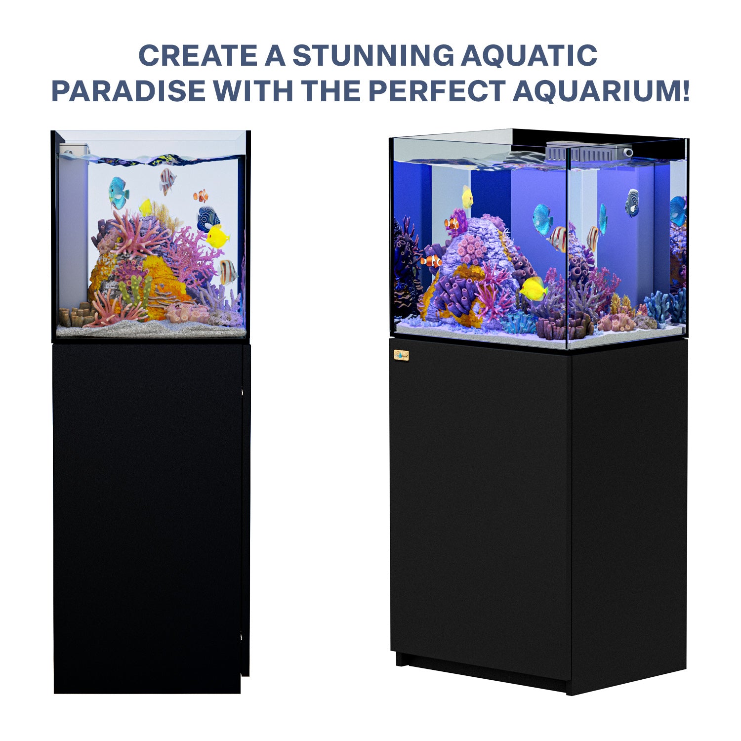 50 Gallon Coral Reef Aquarium Ultra Clear Glass Tank & Built in Sump All Black