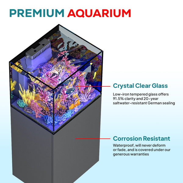 37 gallon aquarium