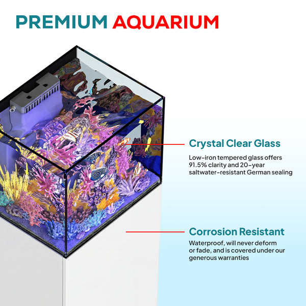 37 gallon aquarium