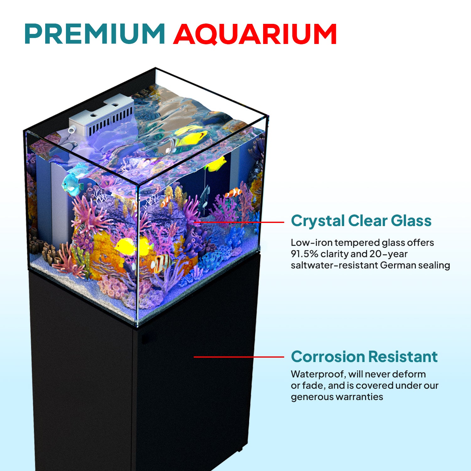 50 gallon aquarium