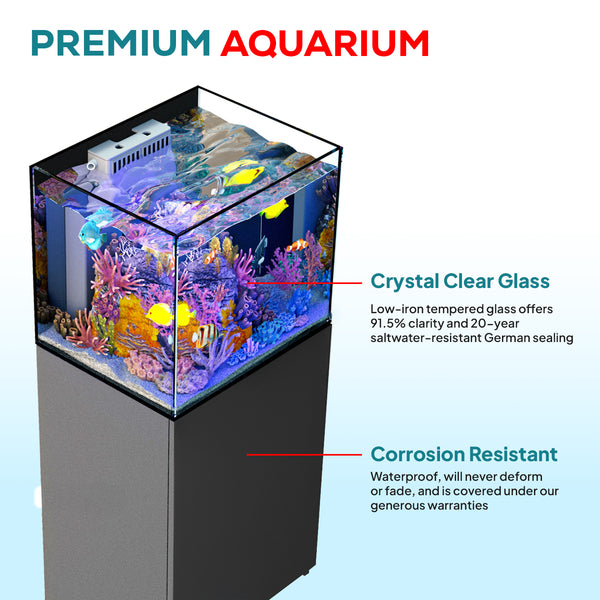 silver rimless aquarium