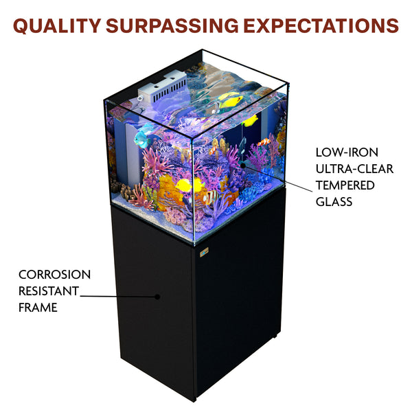 37 gallon aquarium