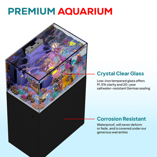 90 gallon aquarium