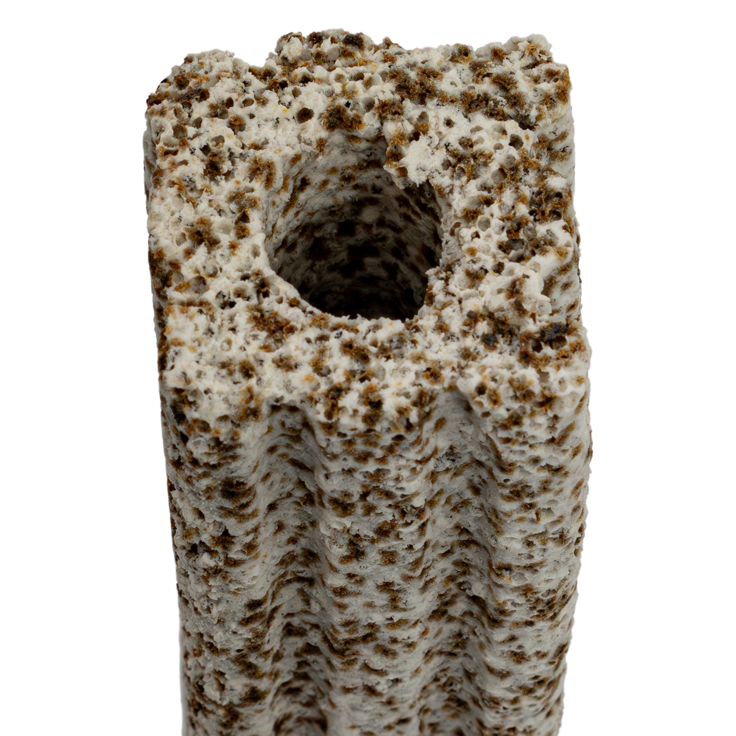 Aqua Dream Ceramic Pillar Bio Filter Media 20 pcs – High-Performance Porous Aquarium Filter for Freshwater and Coral Reef Aquariums
