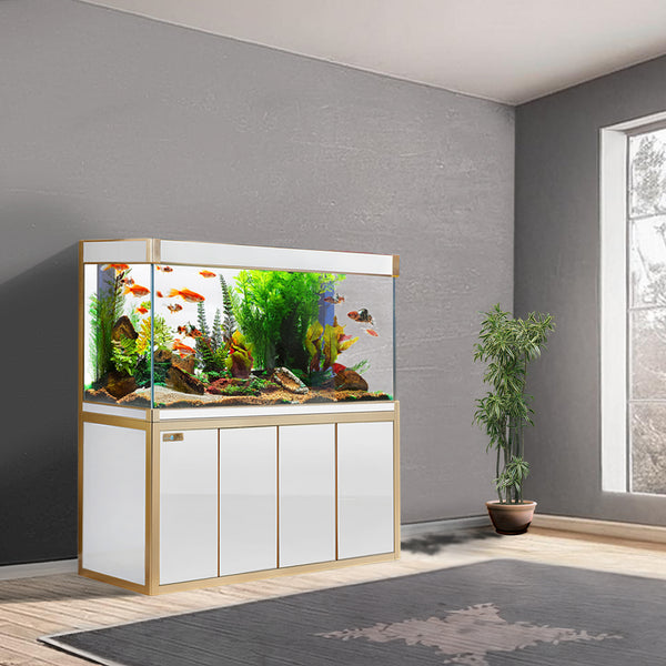 250 gallon aquarium best sale