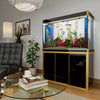 Aqua Dream 175 Gallon Tempered Glass Aquarium Black and Gold