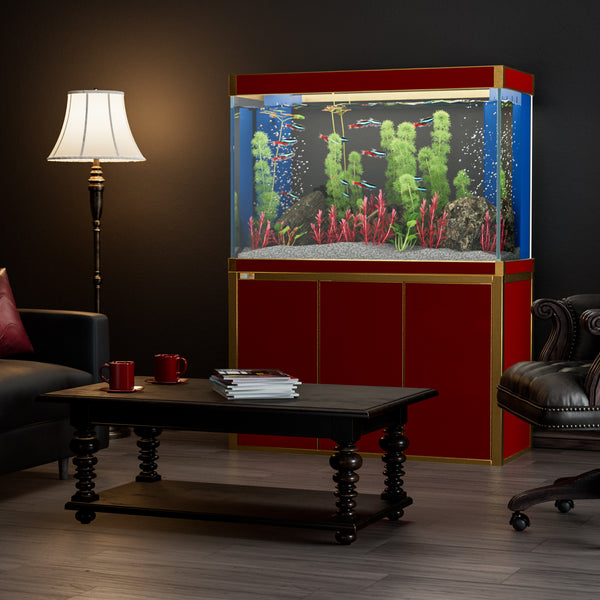 Illustratie van het aquarium met vissenalgen en koraal | Premium Vector Illustratie van het aquarium met vissenalgen en koraal | Premium Vector