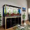 Aqua Dream 250 Gallon Tempered Glass Aquarium Black and Gold