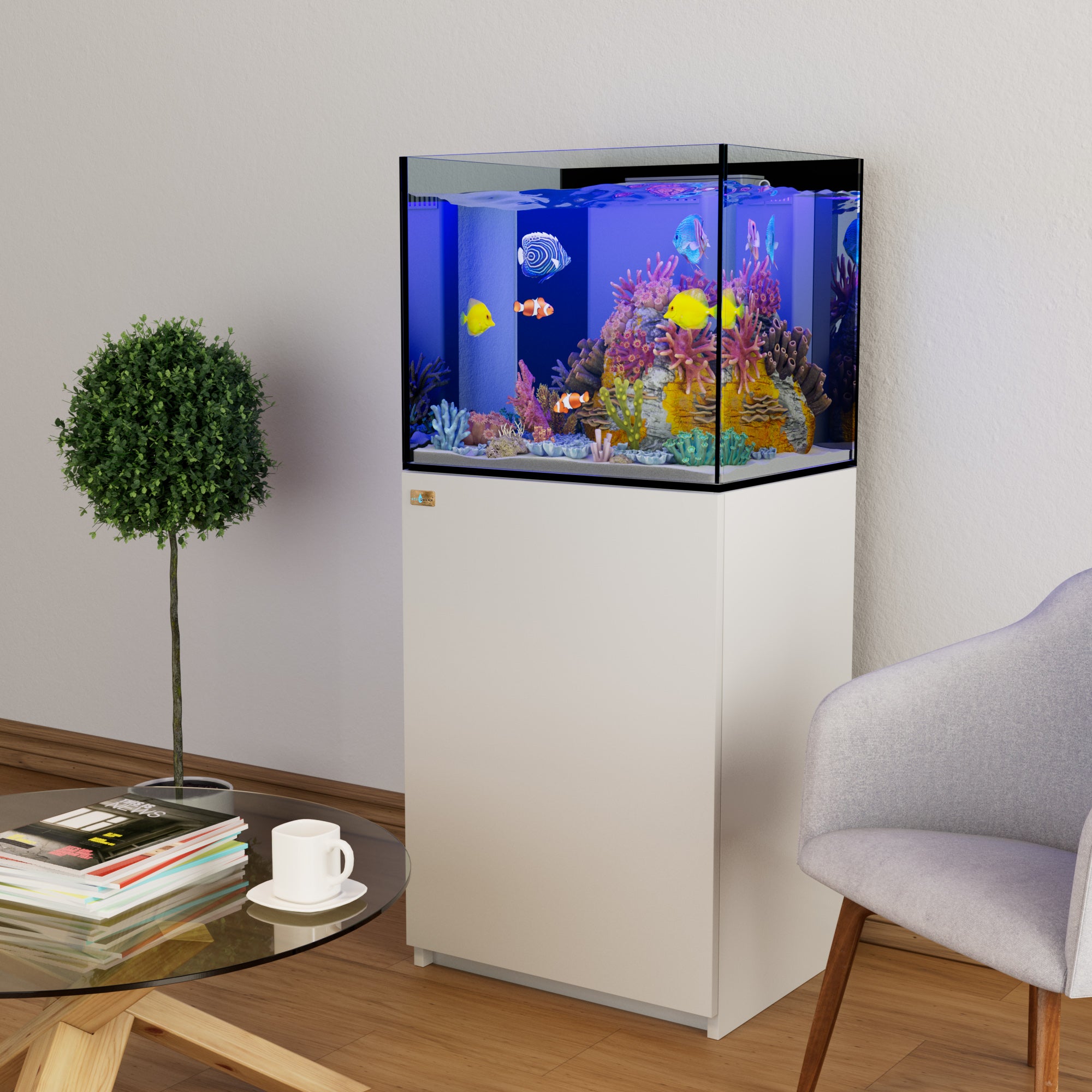 50 gallon reef tank