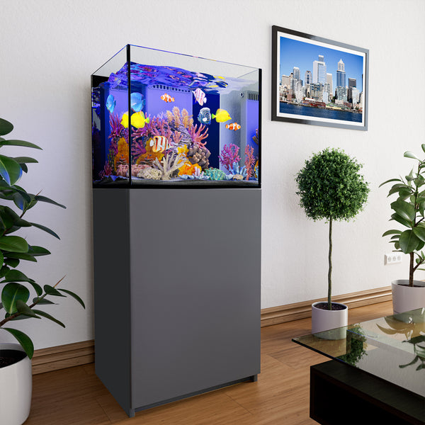 silver rimless aquarium