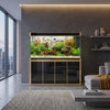 250 gallon aquarium with stand sump and LED black gold