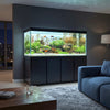 Aqua Dream 260 Gallon Aquarium Black Premium